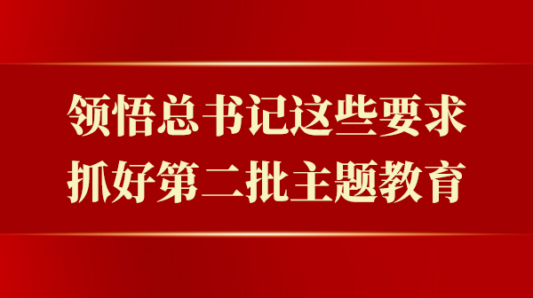 领悟总书记这些要求，抓好第二批主题教育